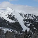 Premium Edel:weiss In Katschberg Carinthia *