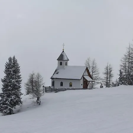 Premium Edel:weiss In Katschberg Carinthia *