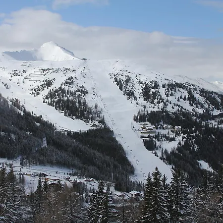 Premium Edel:weiss In Katschberg Carinthia *