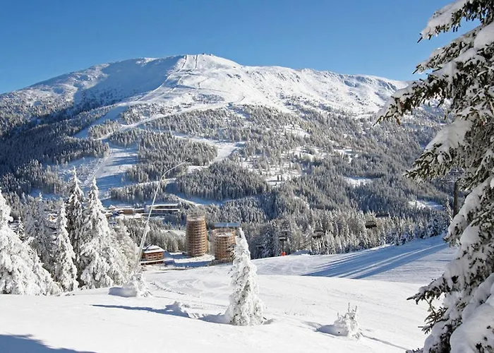 Premium Edel:weiss In Katschberg Carinthia * 카트슈베르그호헤