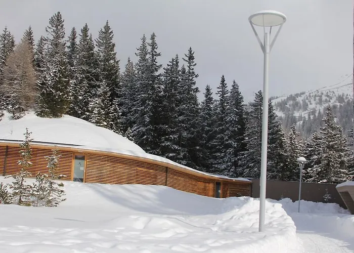 Premium Edel:weiss In Katschberg Carinthia * 카트슈베르그호헤