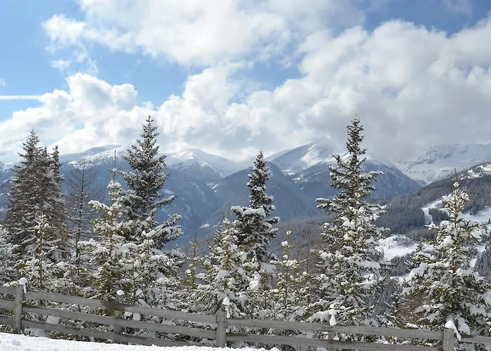 Premium Edel:weiss In Katschberg Carinthia Katschberghöhe