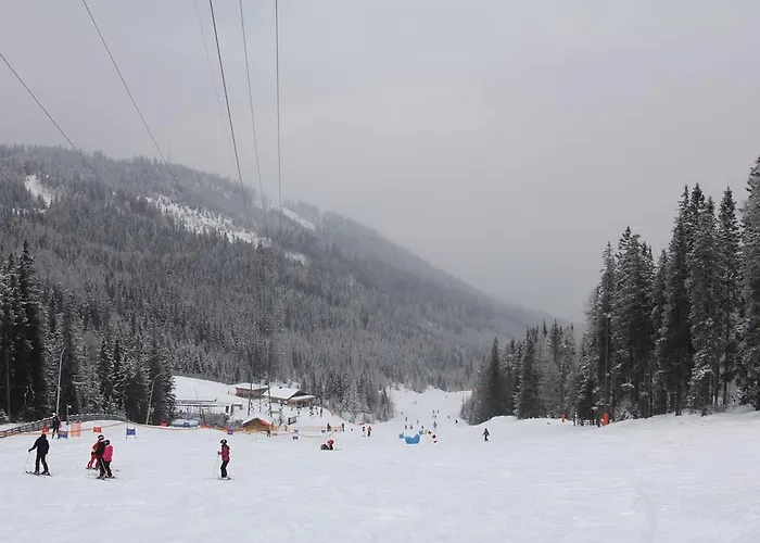 Premium Edel:weiss In Katschberg Carinthia 公寓