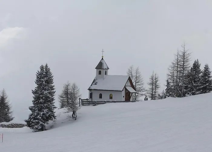 Premium Edel:weiss In Katschberg Carinthia *
