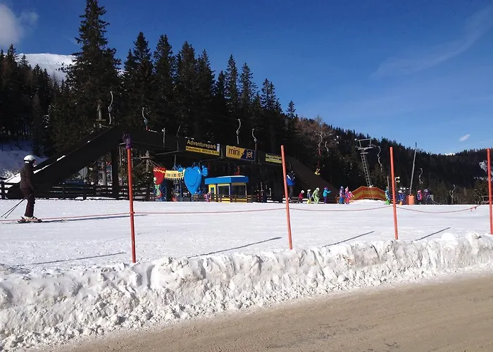 Premium Edel:weiss In Katschberg Carinthia